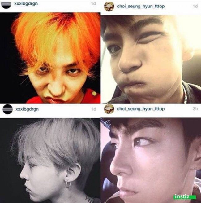 GD TOP2