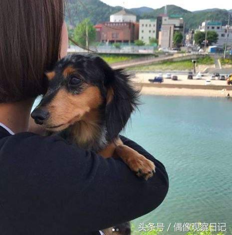 SHINee鐘鉉愛犬走失泰妍請大家協尋，結果找到它時竟然在游泳！