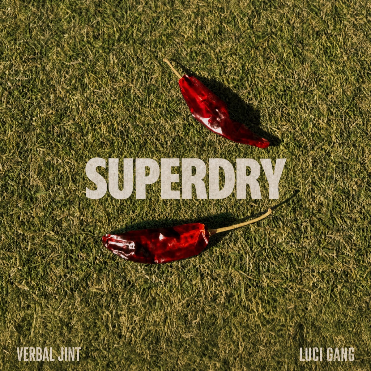 Verbal Jint 與 Luci Gang 推出《SUPERDRY》，率先揭開《10 Years of Misinterpretation II》序幕