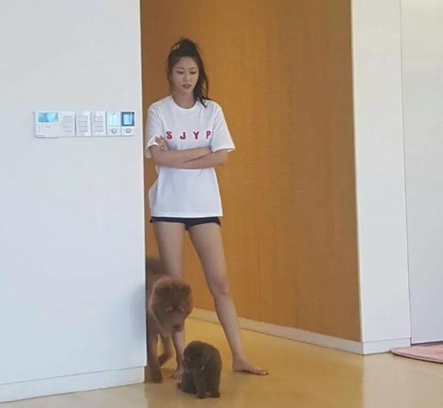 盤點代表性大長腿女愛豆