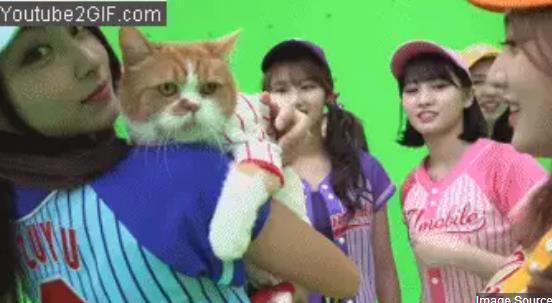 不只是子瑜，Twice娜璉也對小動物超體貼，拍廣告怕嚇到貓咪！