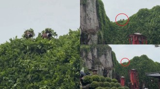 韓國網民對中國粉絲為了拍攝名人照片所採取的極端手段感到震驚和印象深刻