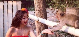深深被猴子吸引的SISTAR多順
