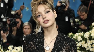 BLACKPINK的Lisa在Met Gala上因疑似羅莎·帕克斯印花引發爭議